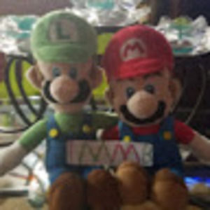 Meet your Posher, The master